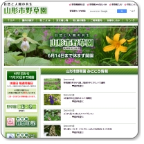 �R�`�s�쑐���u���S�Ҏʐ^�B�e�����v